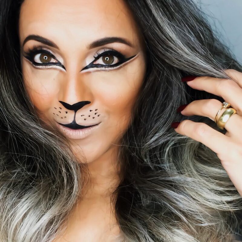 Maquiagem De Gata