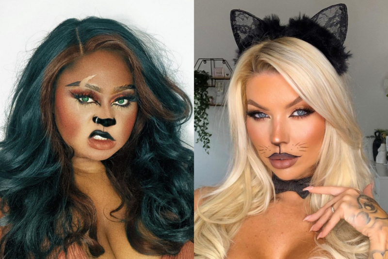 Cat Makeup