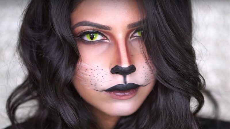 Cat Makeup
