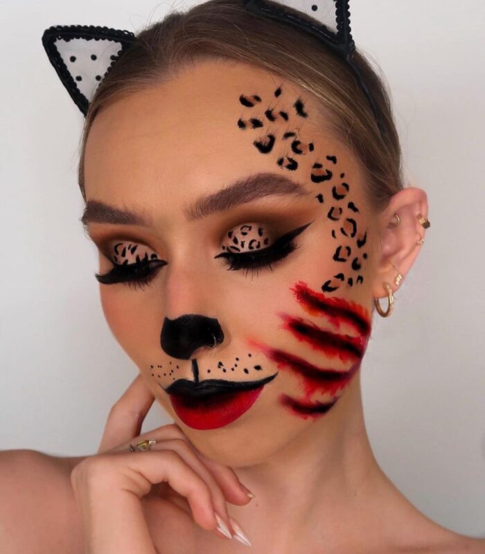 Cat Makeup